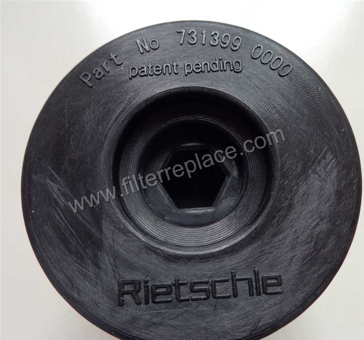 Not geniue Rietschle vacuum pump  filter element 731399-0000