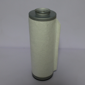 Vacuum pump oil mist filter 4900154131 for Ion Implanter