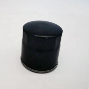 Interchange SogeVac SV 65 B vacuum pump oil filter element EK96004